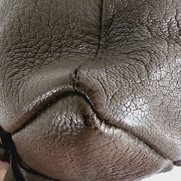 Christopher Kon Brown Leather Studded Double Strap Crossbody/Clutch Bag - Picture 8 of 15